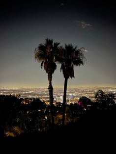 two palm trees are silhouetted against the night sky with city lights in the background