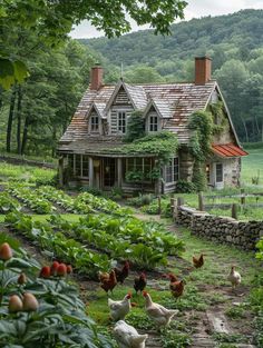 an old country house with chickens in the yard