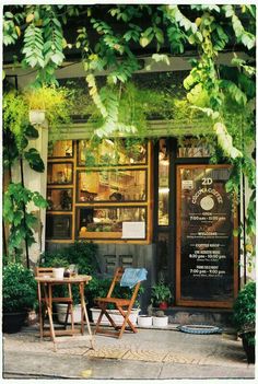 two wooden chairs sitting in front of a building with plants on the outside and windows