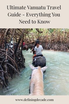 Travelers riding horses through a mangrove forest in Vanuatu. Vanuatu Travel, Defining Decade, Travel Vibes, Ocean Resort, Turtle Bay, Remote Island