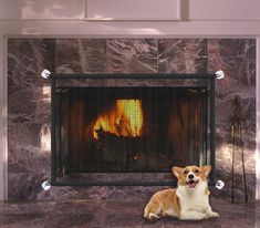 a dog is sitting in front of a fireplace