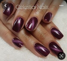 Short Square Acrylic Nails Maroon, Chrome Plum Nails, Wine Cat Eye Nails, Purple Cats Eyes Nails, Cats Eye Nail Polish Gel, Magnetic Nail Polish Cat Eye, Square Cat Eye Nails, Fall Cat Eye Nails