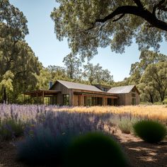 an artist's rendering of a house in the middle of a field with lavenders