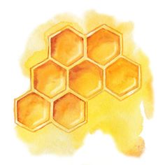 watercolor painting of honeycombs on white background