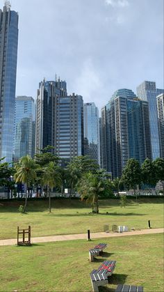 several park benches in the middle of a grassy area with skyscrapers in the background