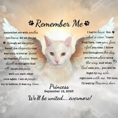 a white cat with angel wings on it's back and the words, remember me