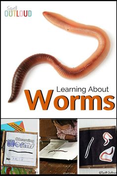 the cover of learning about worms, with pictures of worms and other things on it