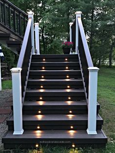 some stairs with lights on them in the grass