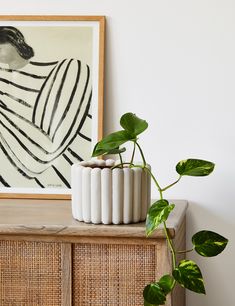 a potted plant sitting on top of a wooden cabinet next to a painting and framed artwork