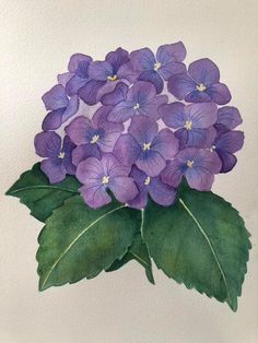 a painting of purple flowers with green leaves