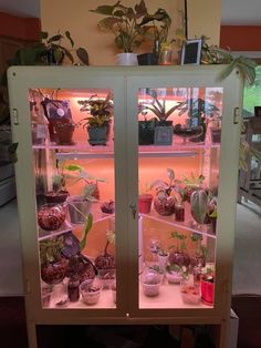 a display case filled with plants and potted plants