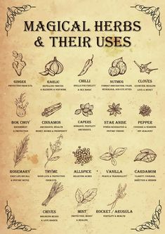 This magical herb poster will help you identify the magical uses of herbs and spices that you probably already have in your own witchs kitchen! Ideal for printing at A3 with no loss of quality, if you want this poster printed for you, please get in touch as I can supply them printed at a small Witchy Kitchen, Materi Bahasa Jepang, Magia Das Ervas, Wiccan Magic, Witch Spirituality, Magic Spell Book