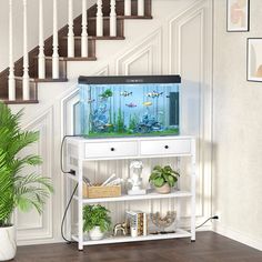 a fish tank sitting on top of a white shelf next to a stair case filled with plants