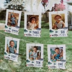 baby pictures hanging on a clothes line in the grass