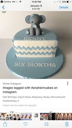 an elephant on top of a cake with the words six months written in white and blue