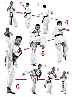 an image of karate moves for beginners