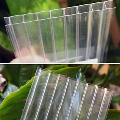 two pictures of clear plastic containers with plants in the background