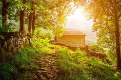 an old stone building in the middle of a forest with sun shining down on it