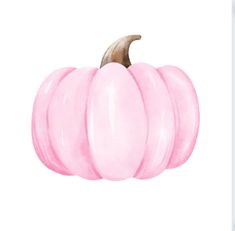 a watercolor painting of a pink pumpkin