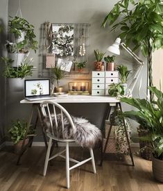 a desk with plants and a laptop on it