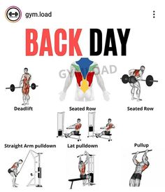 the back day workout routine is shown in this poster, which includes exercises to build muscles and