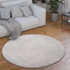 a living room filled with furniture and a white rug on top of a hard wood floor