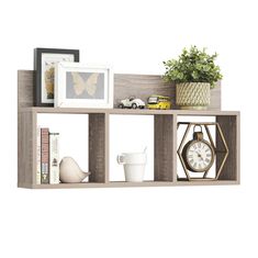 a wooden shelf with various items on top of it and a plant in the middle