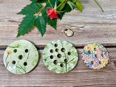 three ceramic buttons sitting on top of a wooden table next to a potted plant