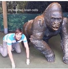 a man kneeling down next to a statue of a gorilla