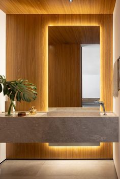 a bathroom with a sink, mirror and potted plant