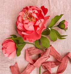 a pink rose with green leaves and ribbon tied around it on a beige cloth background