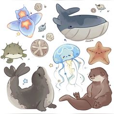 various sea animals are shown in this illustration