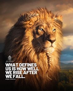 What defines us is how well we rise after we fall. #motivationalquote Instagram Page