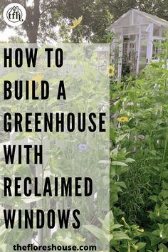 an image of a greenhouse with the words how to build a greenhouse with reclaimed windows