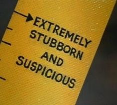 an extremely stubborn and suspicious sign is posted on the side of a yellow caution cone