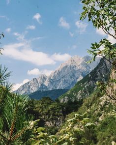 the mountains are covered with trees and bushes