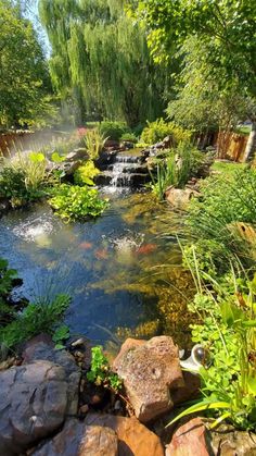 a small pond surrounded by rocks and plants