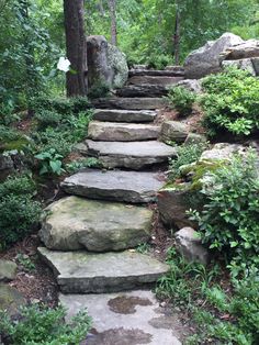 a set of stone steps in the woods