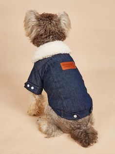 a small dog wearing a denim jacket with a white collar and buttoned closures