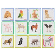 six different animals are arranged in squares on a white background with green and blue border