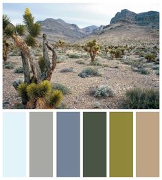 desert scene with cactus trees and mountains in the background, color palette swatches are used to create this image