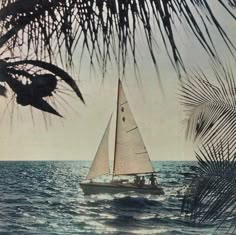 a sailboat in the ocean with palm trees around it and an image of a boat on the water