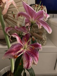 some pink flowers are in a vase on a table