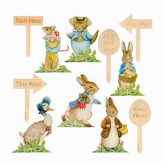 an image of rabbits with signs pointing to them