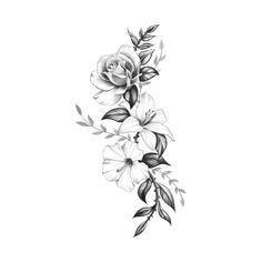 a black and white drawing of flowers with leaves on the bottom half of each flower