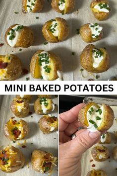 Mini baked potatoes topped with sour cream, chopped chives, shredded cheese, and bacon on a baking sheet. Close-up image shows a hand holding one potato, highlighting the filling. Recipe title "Mini Baked Potatoes" displayed in bold text. Mini Baked Potatoes, Crowd Pleasing Appetizers, Finger Foods Easy, Amazing Appetizers, Baked Potatoes, Fresh Chives, Yummy Dips, Food For A Crowd, Party Foods