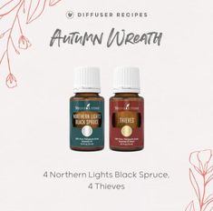 Northern Lights Black Spruce, Fall Essential Oil Blends, Spruce Essential Oil, Fall Essential Oils, Black Spruce