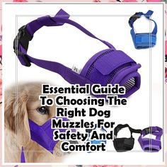 Discover the ultimate resource with our Essential Guide To Choosing The Right Dog Muzzles For Safety And Comfort. This comprehensive guide walks you through the different types of dogs muzzles, helping you select the perfect fit for your furry friend. Learn about the importance of safety, comfort, and proper usage to ensure a positive experience for both you and your dog. Make informed choices and keep your pet safe while enjoying their daily adventures. Dog Muzzles, Different Types Of Dogs, Dog Muzzle, Types Of Dogs, Pet Safe, Beautiful Dogs, Choose The Right, Best Dogs, Perfect Fit