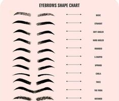 Eyebrow Shaping By Skin Tone Range, Masculine Eyebrow Shape, Types Of Eyebrows Shape, Different Eyebrows, Brow Shape For Your Face, S Shaped Eyebrows, Eyebrow Shapes Chart, Eyebrows Shaping, Eyebrow Shapes