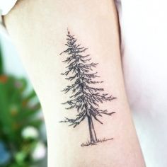 a small pine tree tattoo on the arm